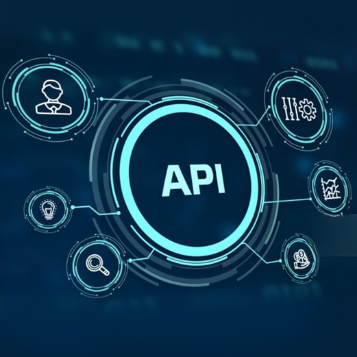 The smartest way to tie your existing system by API integration