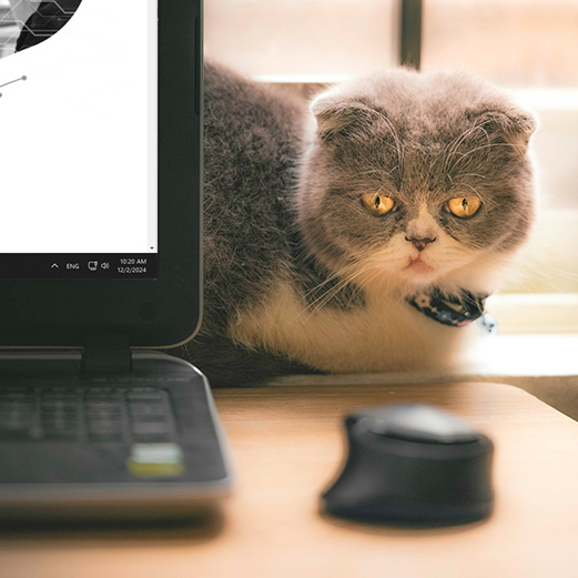 404 Error Page